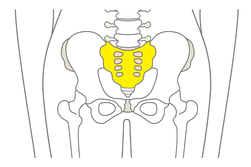 ゴルフと骨の関係性